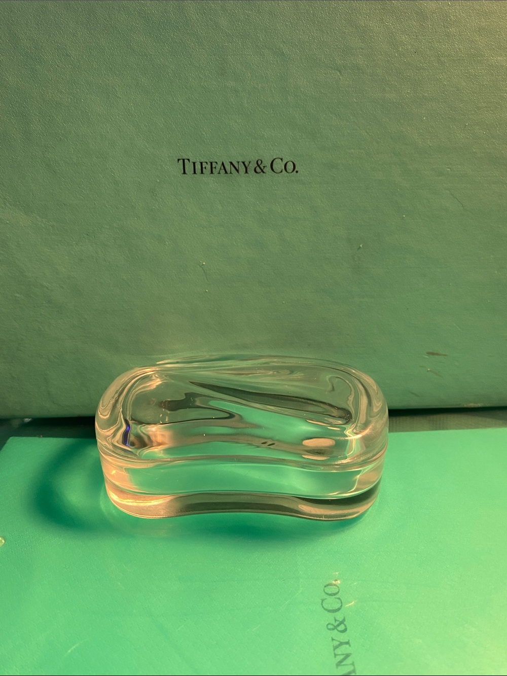 Tiffany & Co. / Elsa Peretti Crystal Wave Box